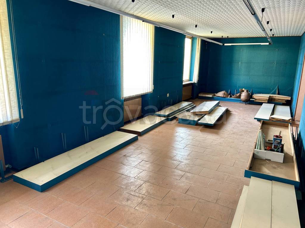 immagine annuncio 11 di 12