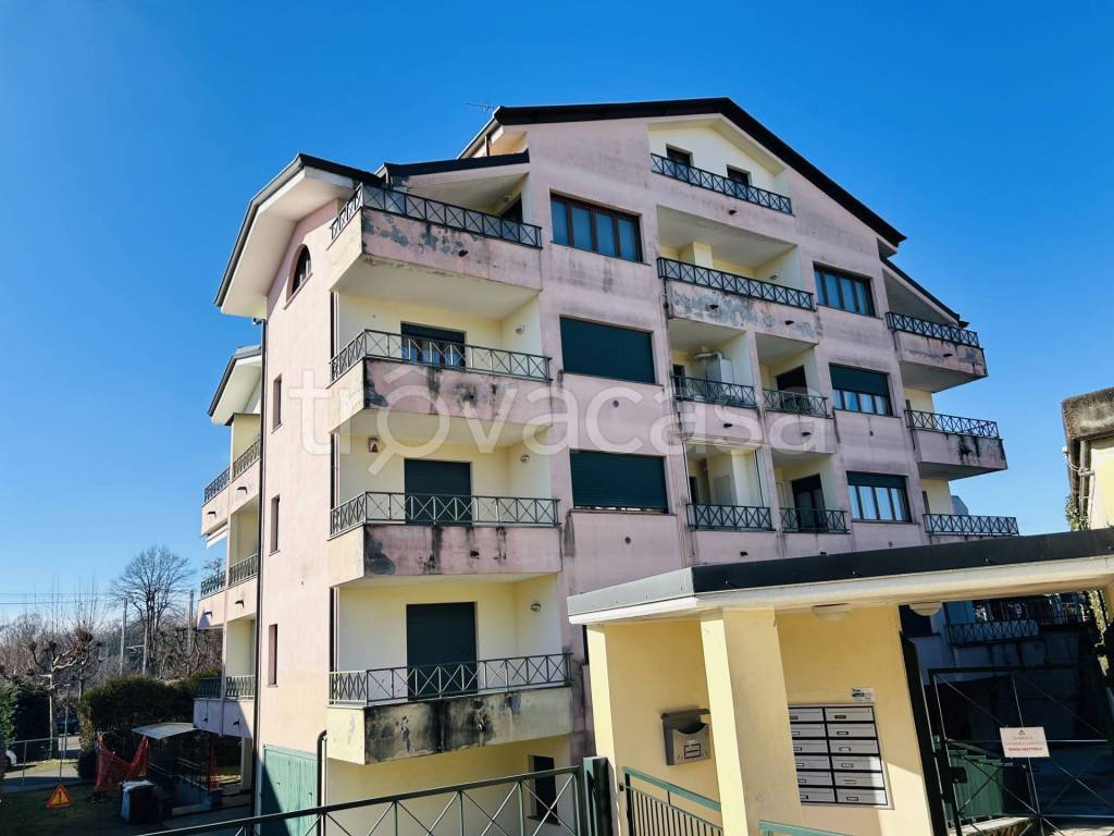 immagine annuncio 1 di 14