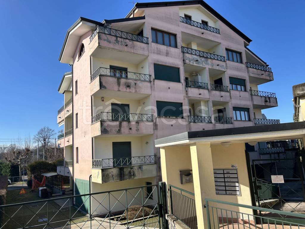 immagine annuncio 2 di 14