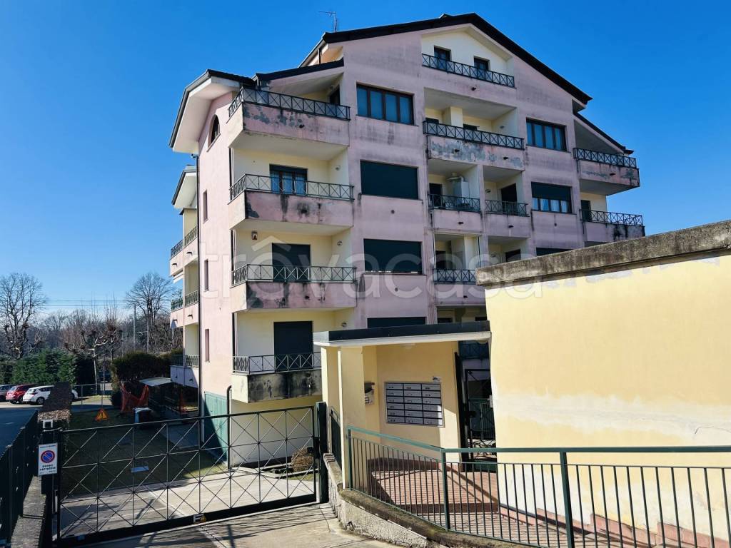 immagine annuncio 3 di 14