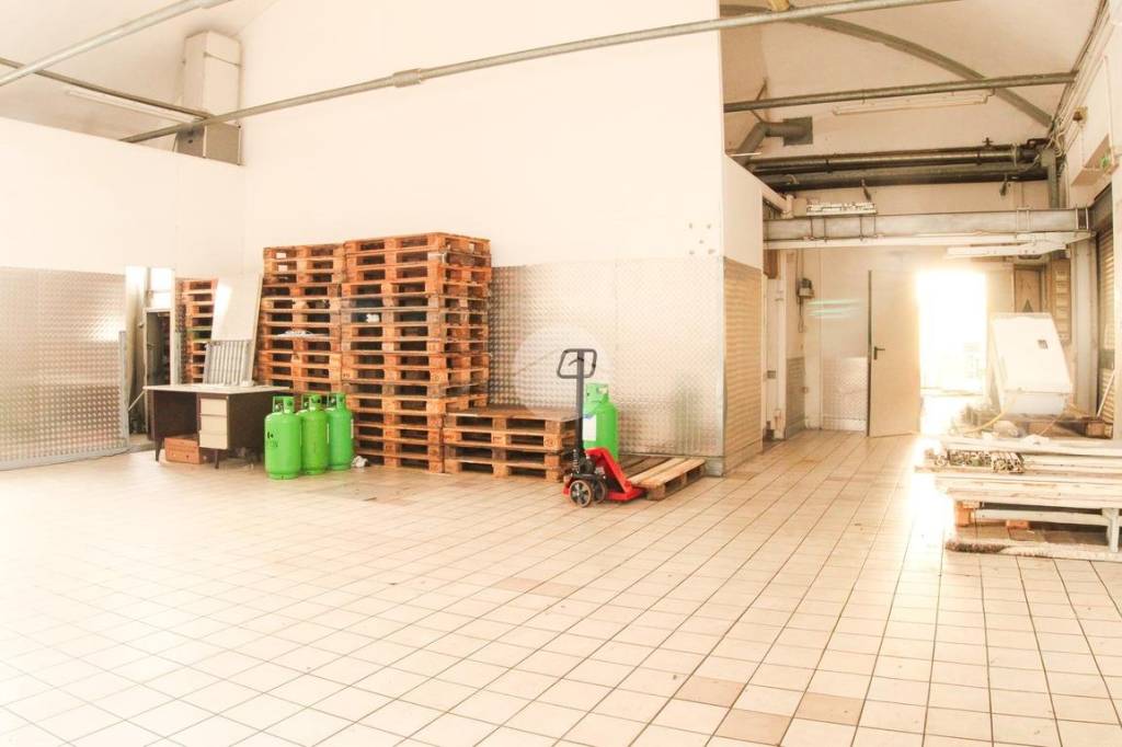 immagine annuncio 13 di 15