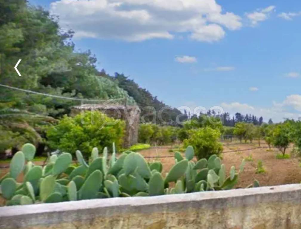 immagine annuncio 4 di 11