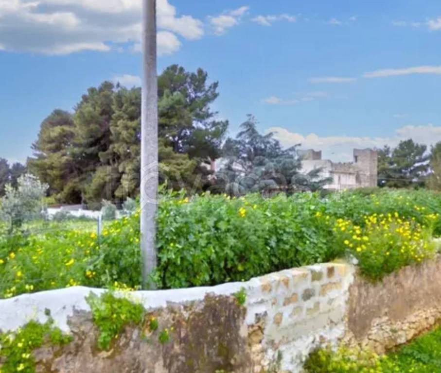 immagine annuncio 7 di 11