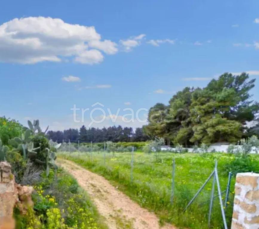 immagine annuncio 8 di 11