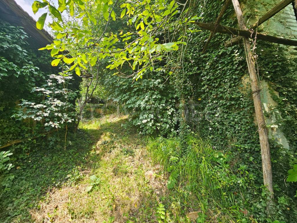 immagine annuncio 1 di 6