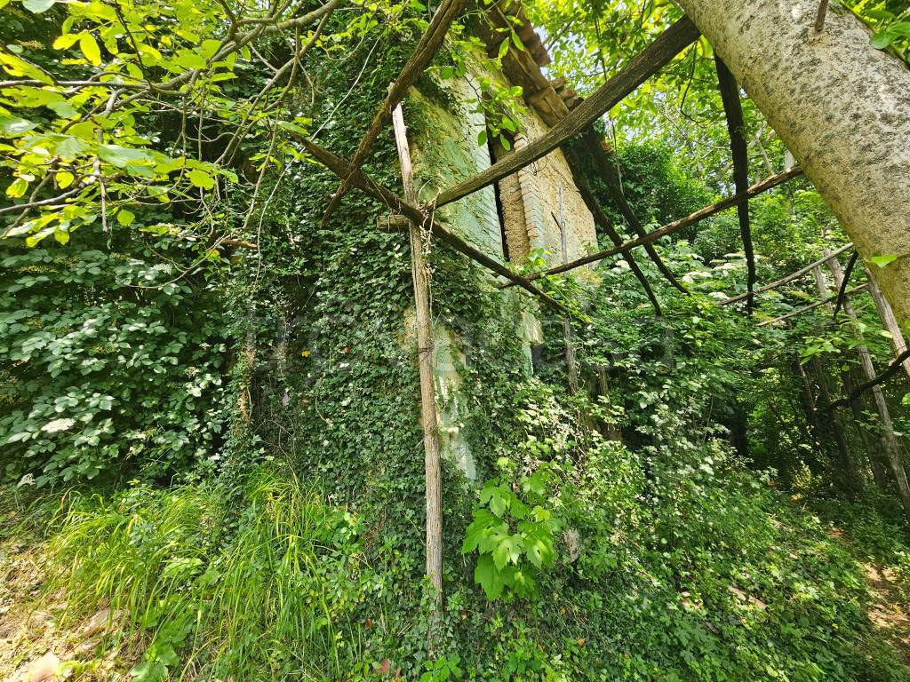 immagine annuncio 3 di 6