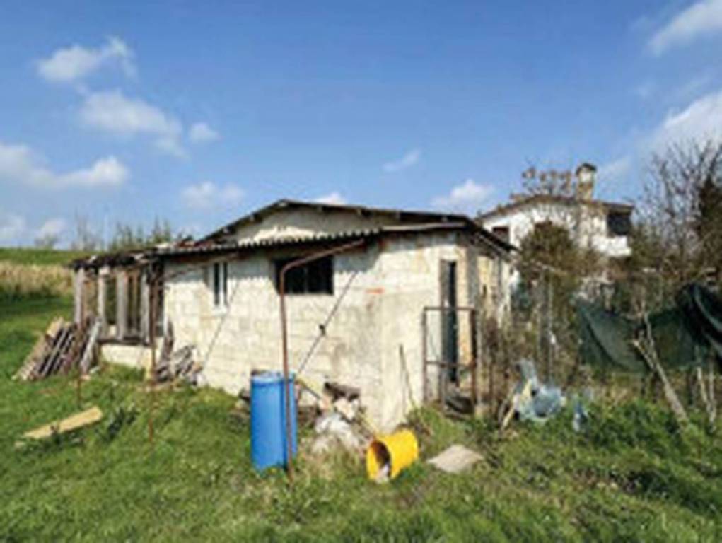 immagine annuncio 1 di 11