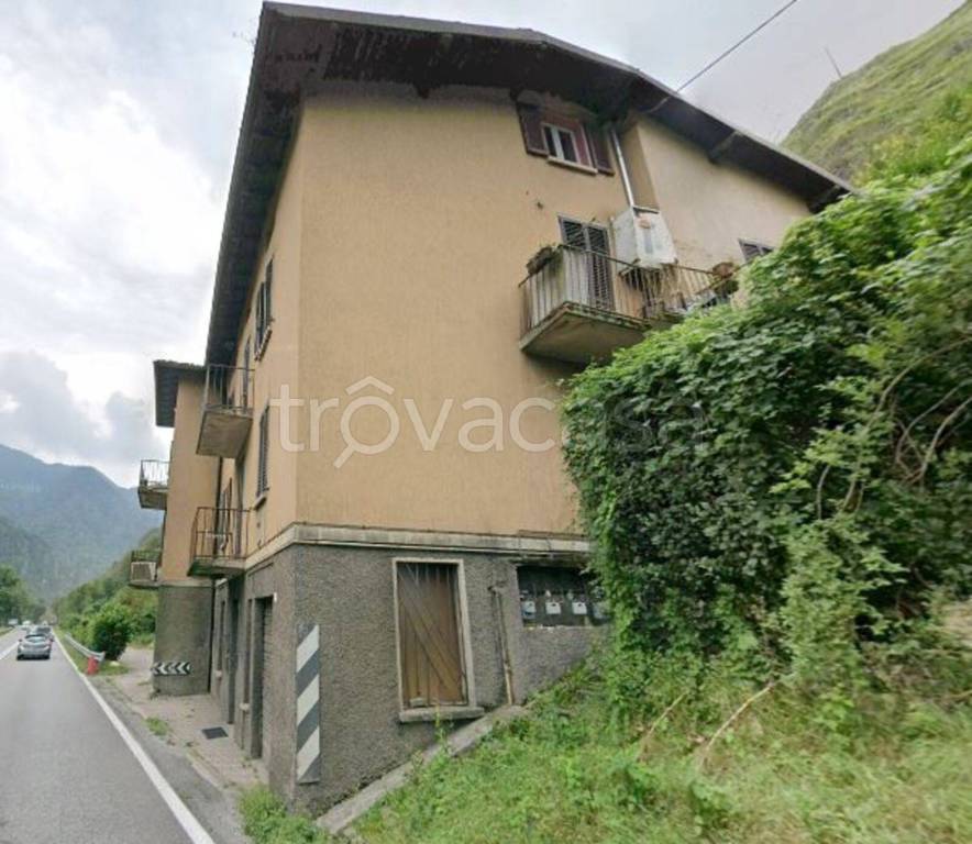 immagine annuncio 7 di 13