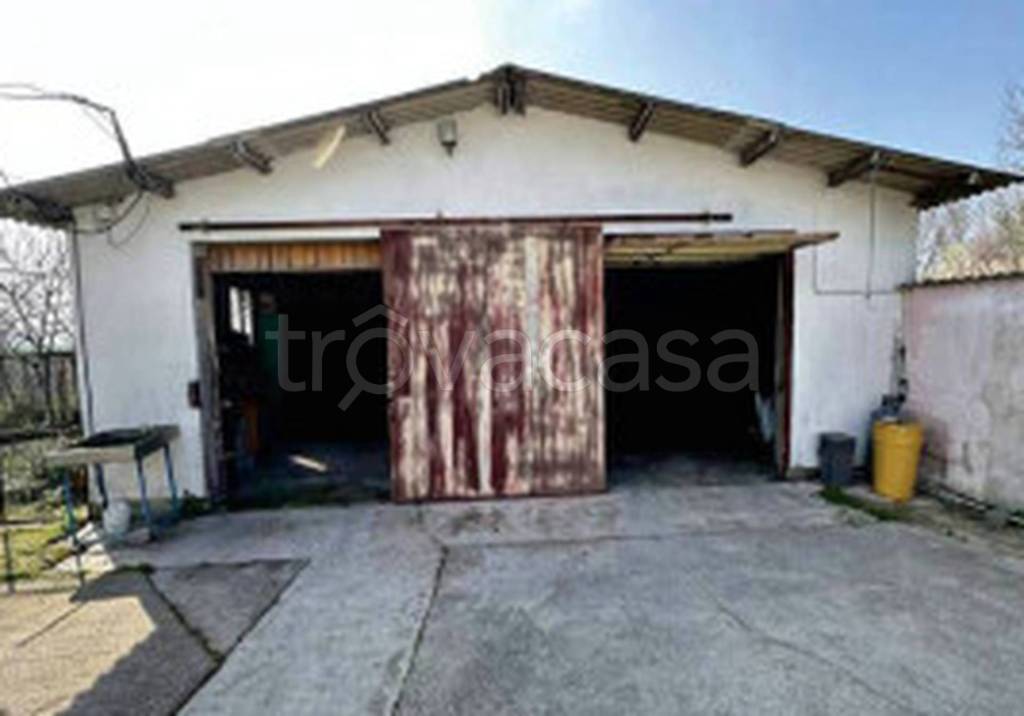 immagine annuncio 3 di 11