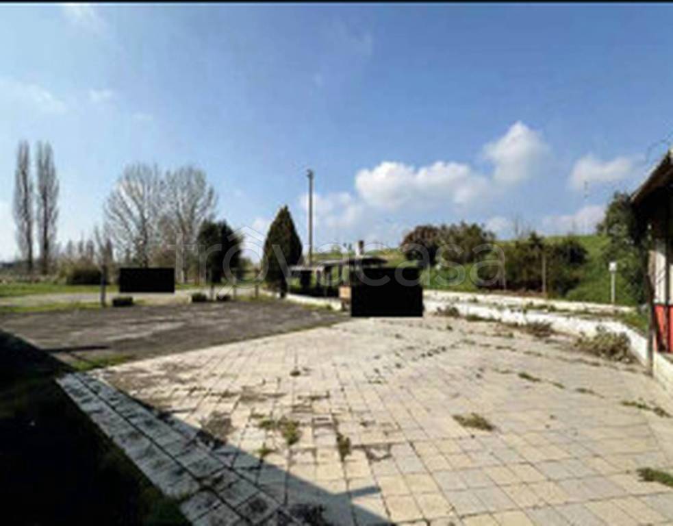 immagine annuncio 5 di 11