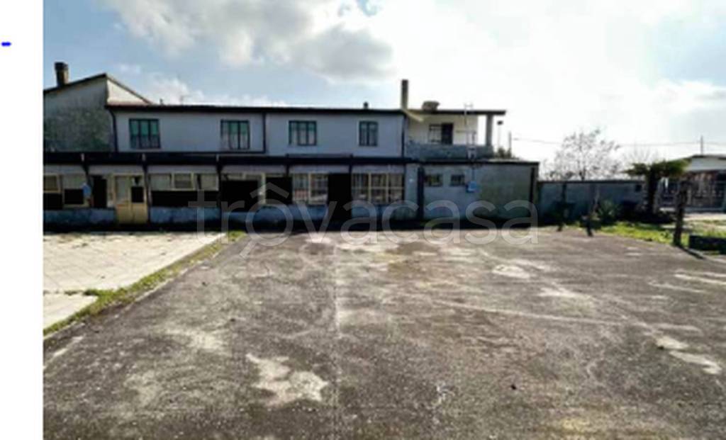 immagine annuncio 8 di 11