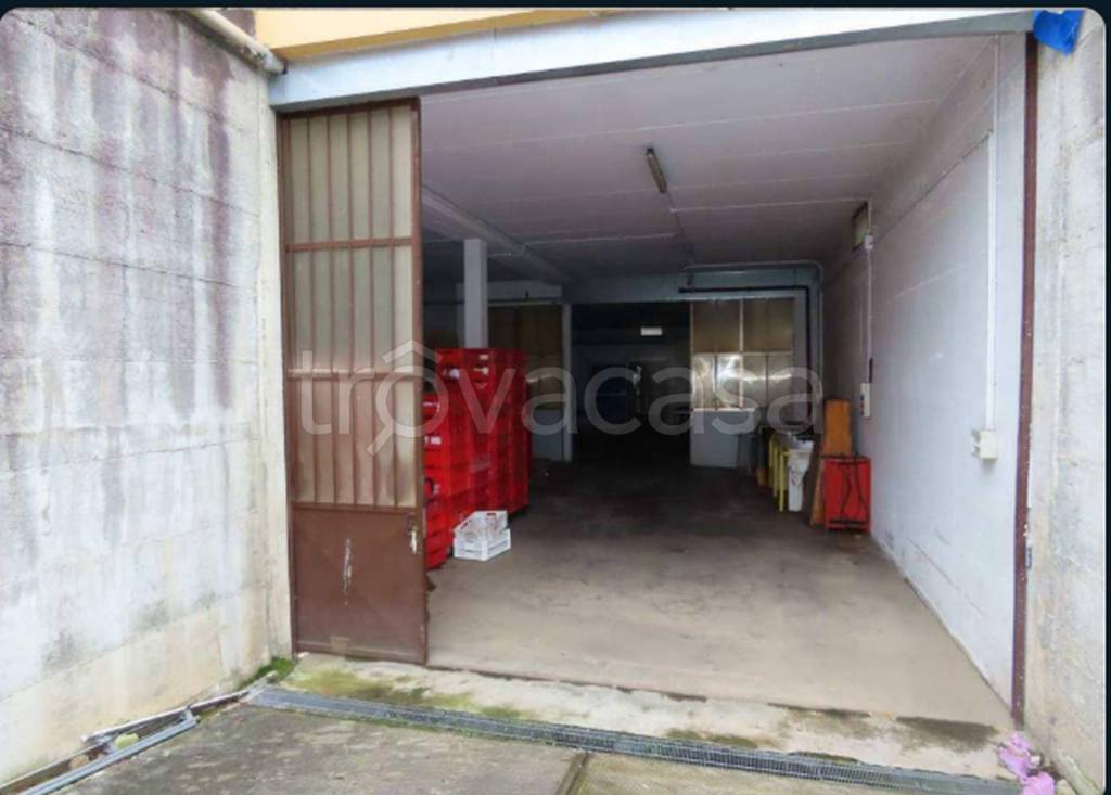 immagine annuncio 7 di 9