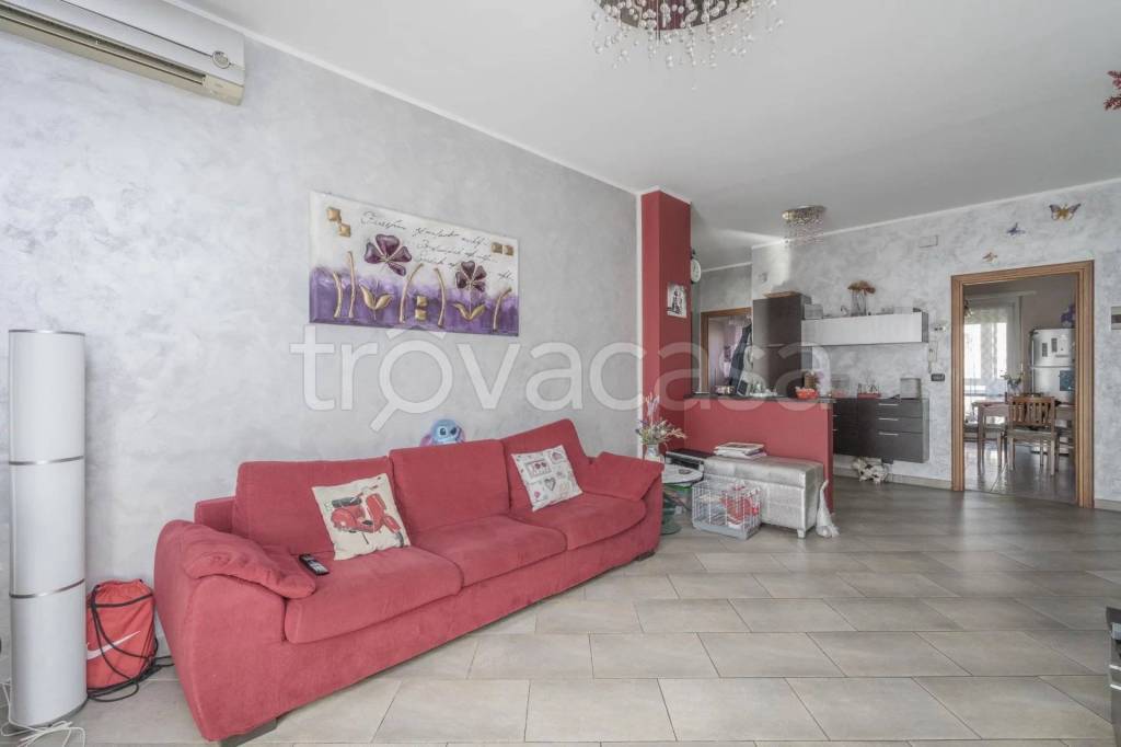 immagine annuncio 5 di 15