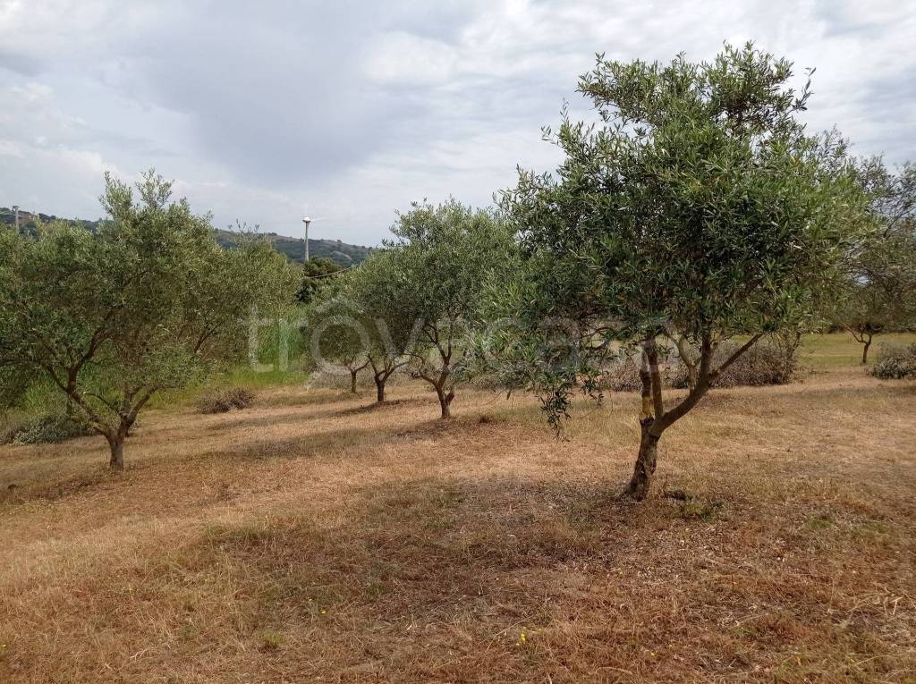 immagine annuncio 6 di 9