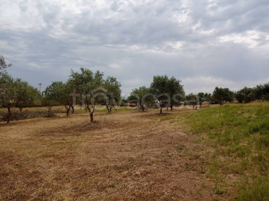 immagine annuncio 7 di 9