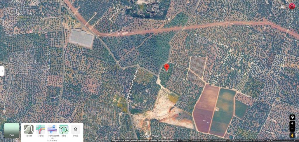 immagine annuncio 8 di 10