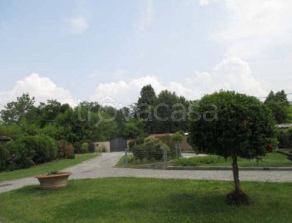 immagine annuncio 11 di 12