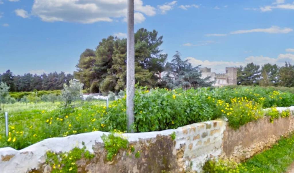 immagine annuncio 3 di 11