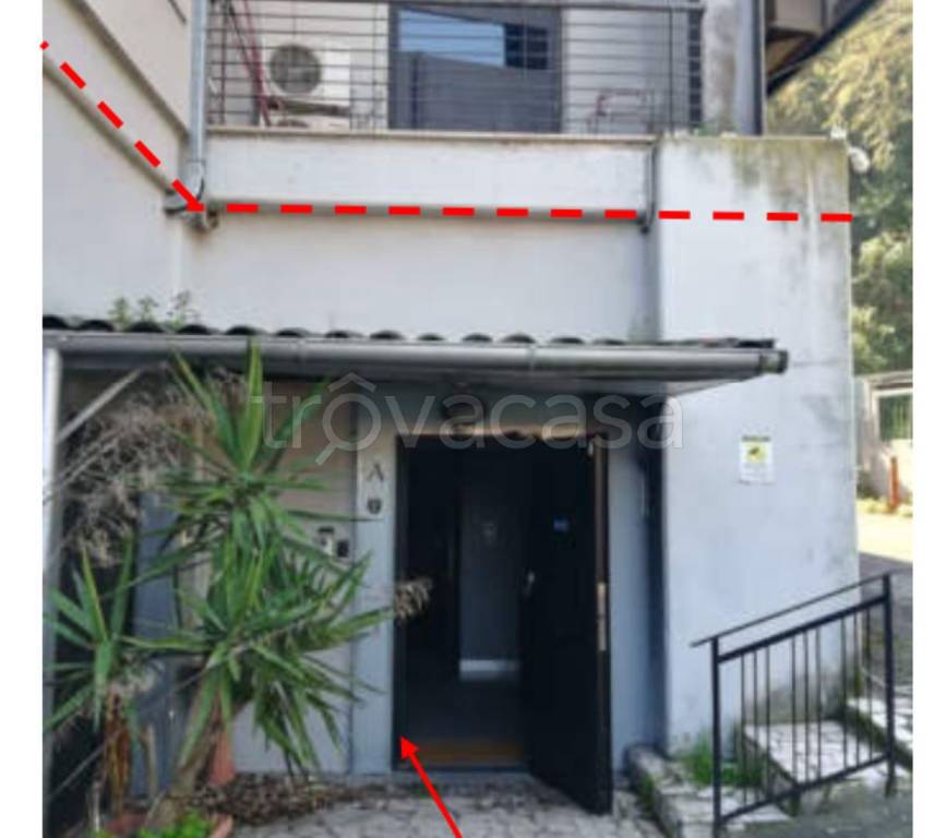 immagine annuncio 7 di 11