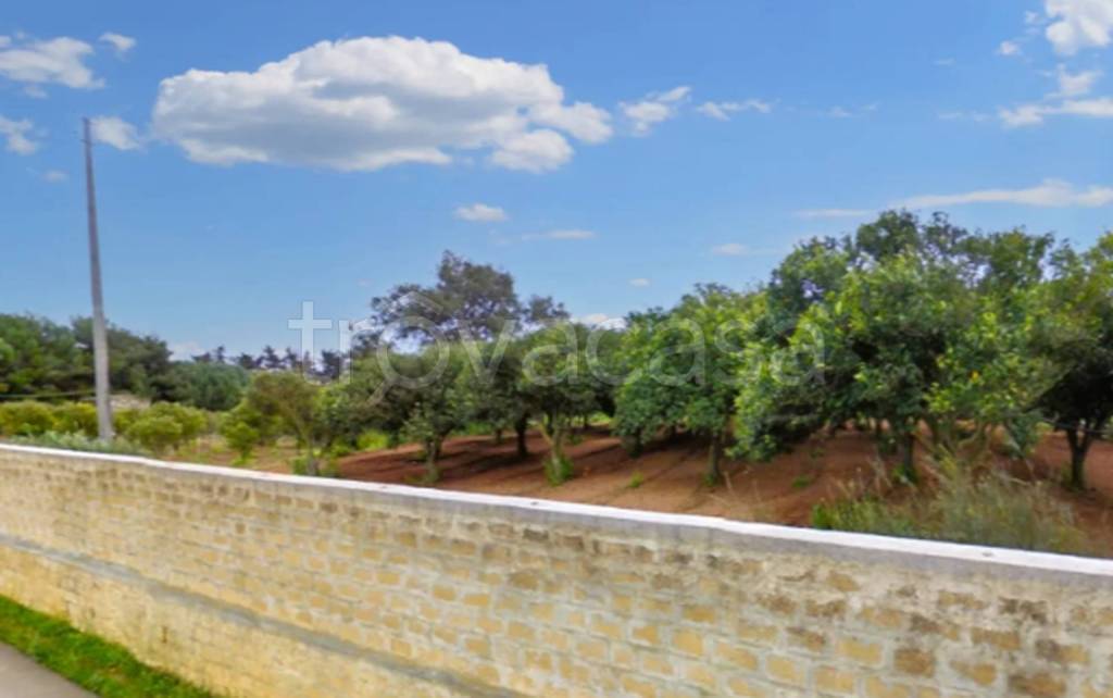 immagine annuncio 5 di 11