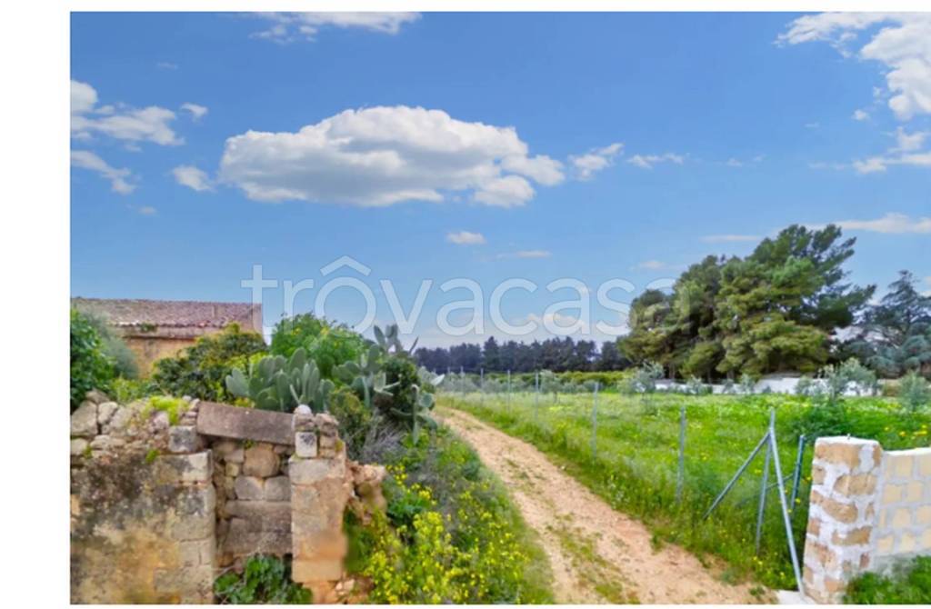 immagine annuncio 6 di 11