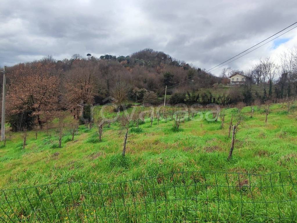 immagine annuncio 2 di 11