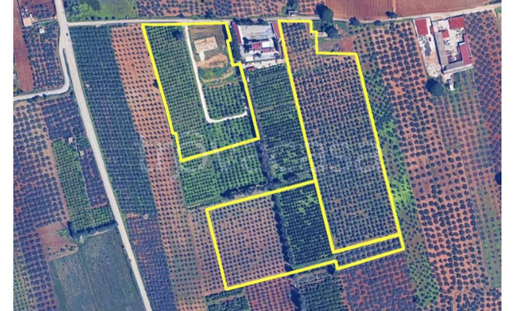 immagine annuncio 9 di 11