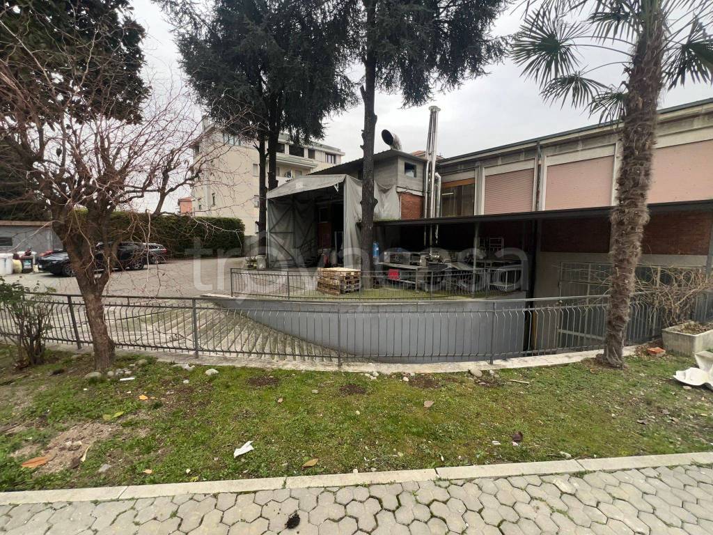 immagine annuncio 9 di 15