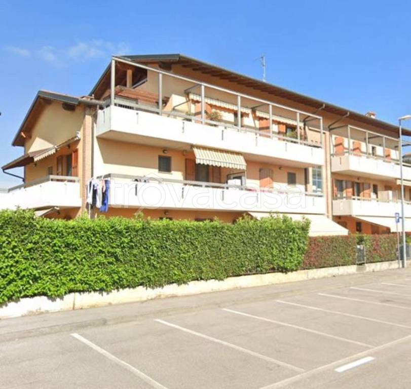 immagine annuncio 1 di 12