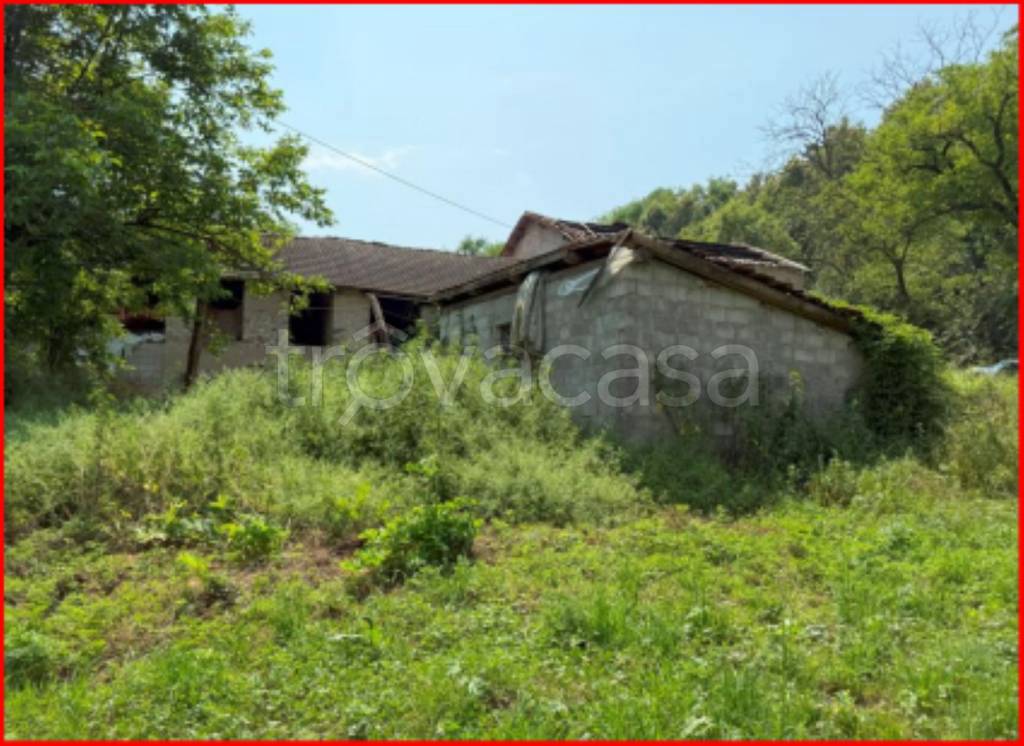 immagine annuncio 6 di 12