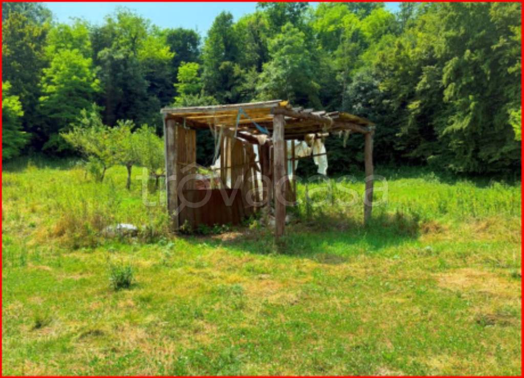 immagine annuncio 7 di 12