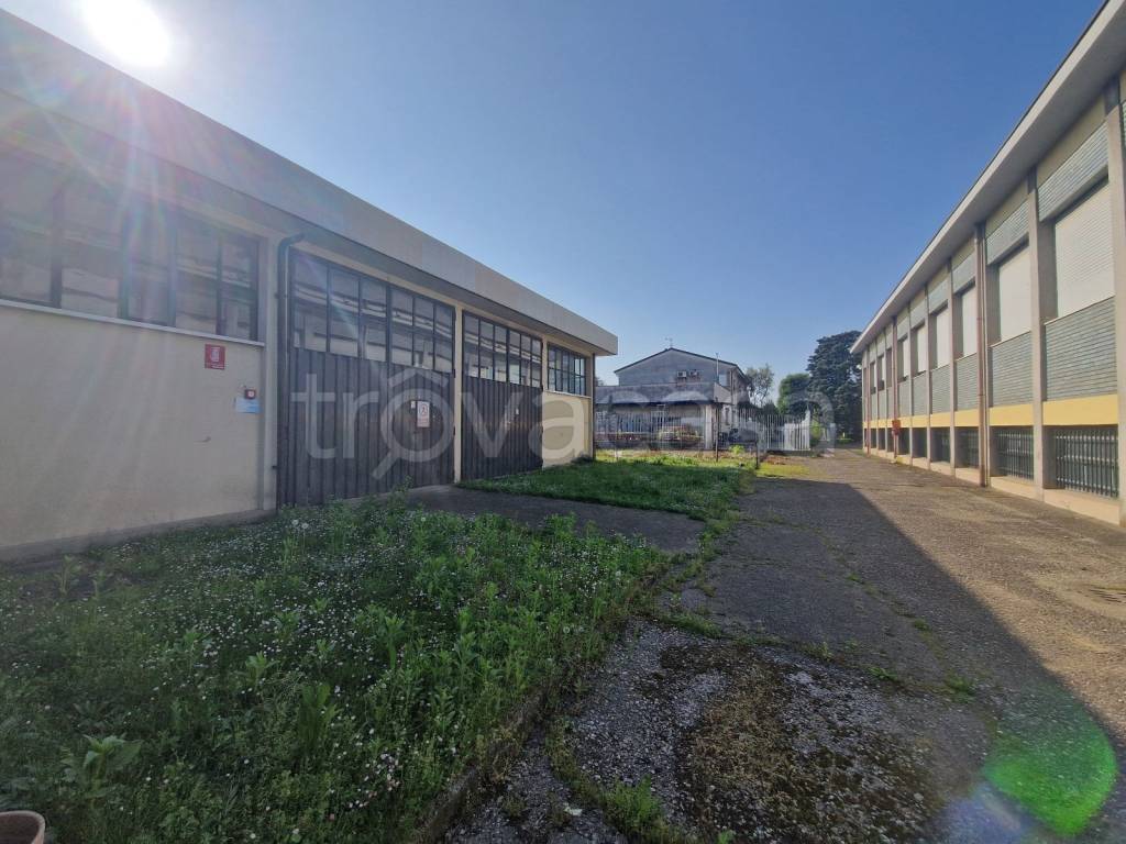 immagine annuncio 4 di 15