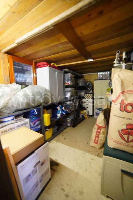 immagine annuncio 7 di 14