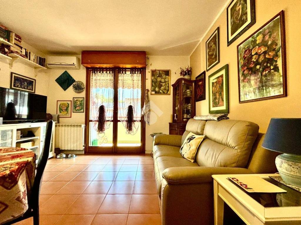 immagine annuncio 9 di 15