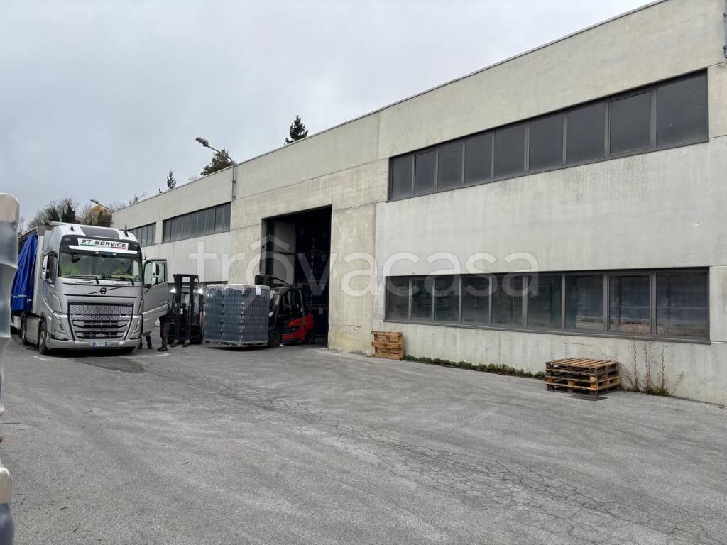 immagine annuncio 1 di 6