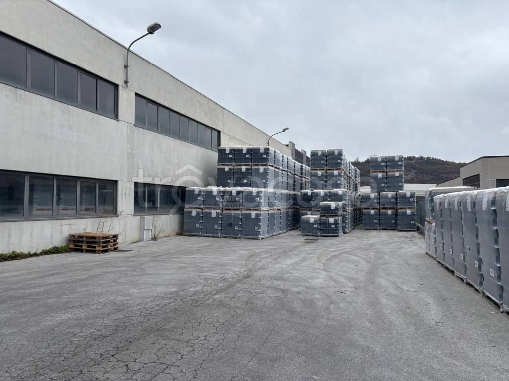 immagine annuncio 2 di 6