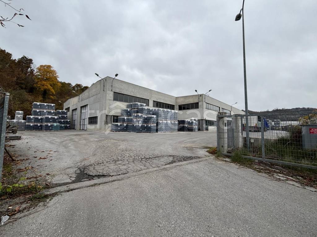 immagine annuncio 5 di 6