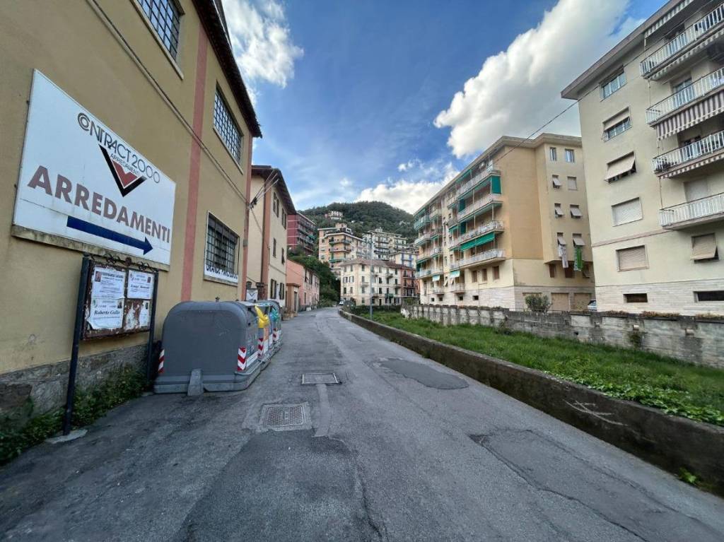 immagine annuncio 4 di 9