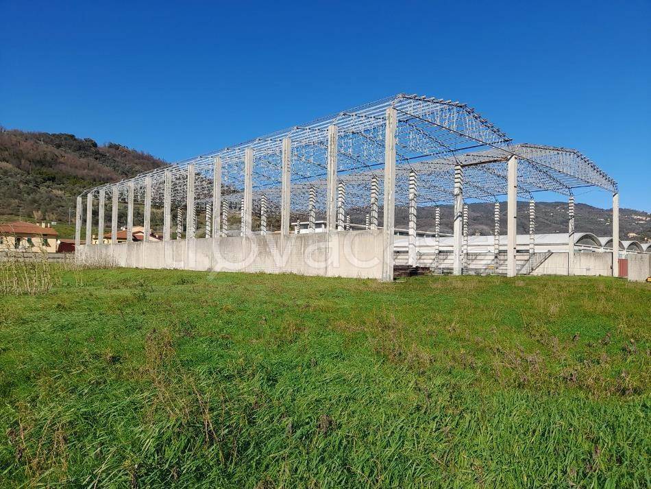 immagine annuncio 4 di 7