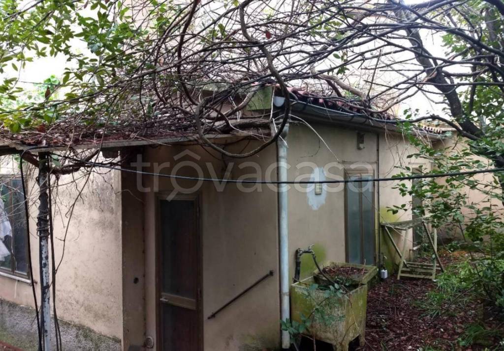 immagine annuncio 7 di 14