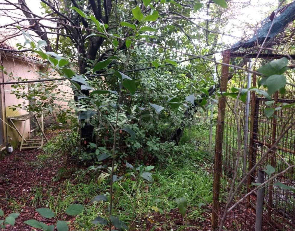 immagine annuncio 9 di 14