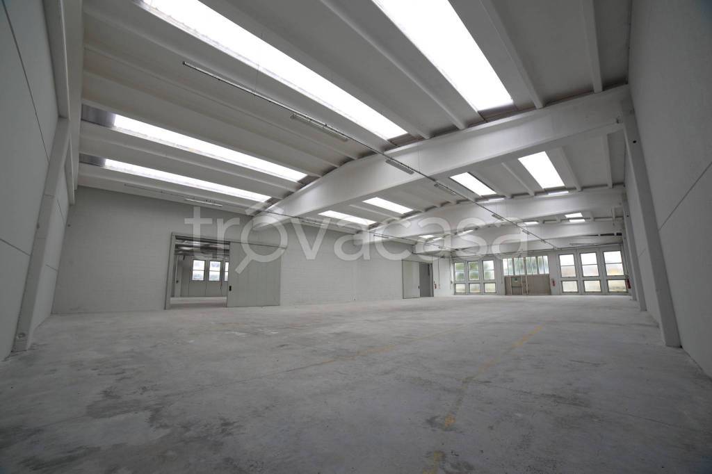 immagine annuncio 4 di 13