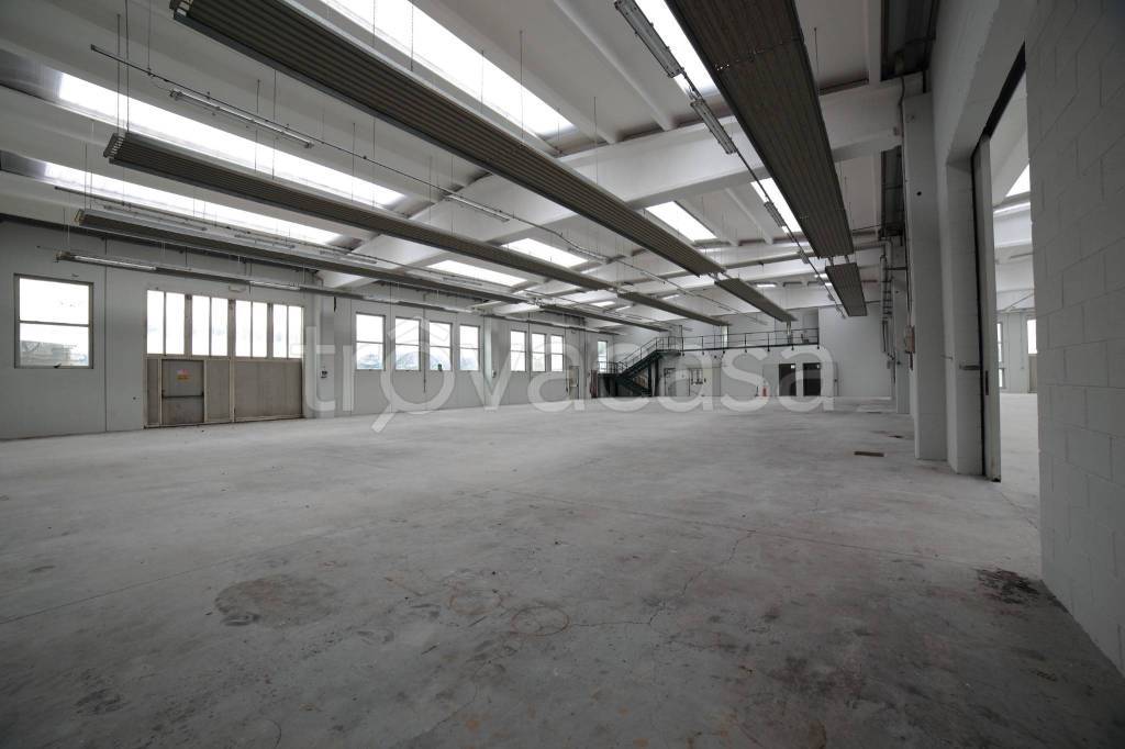 immagine annuncio 5 di 13