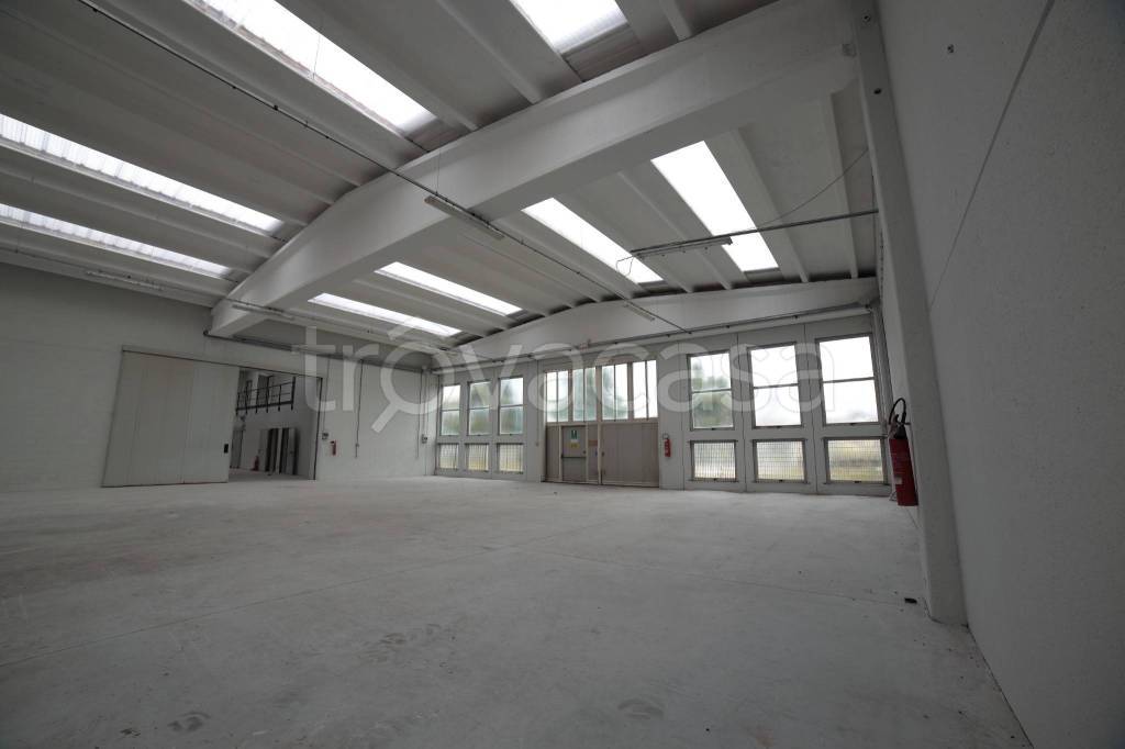 immagine annuncio 6 di 13