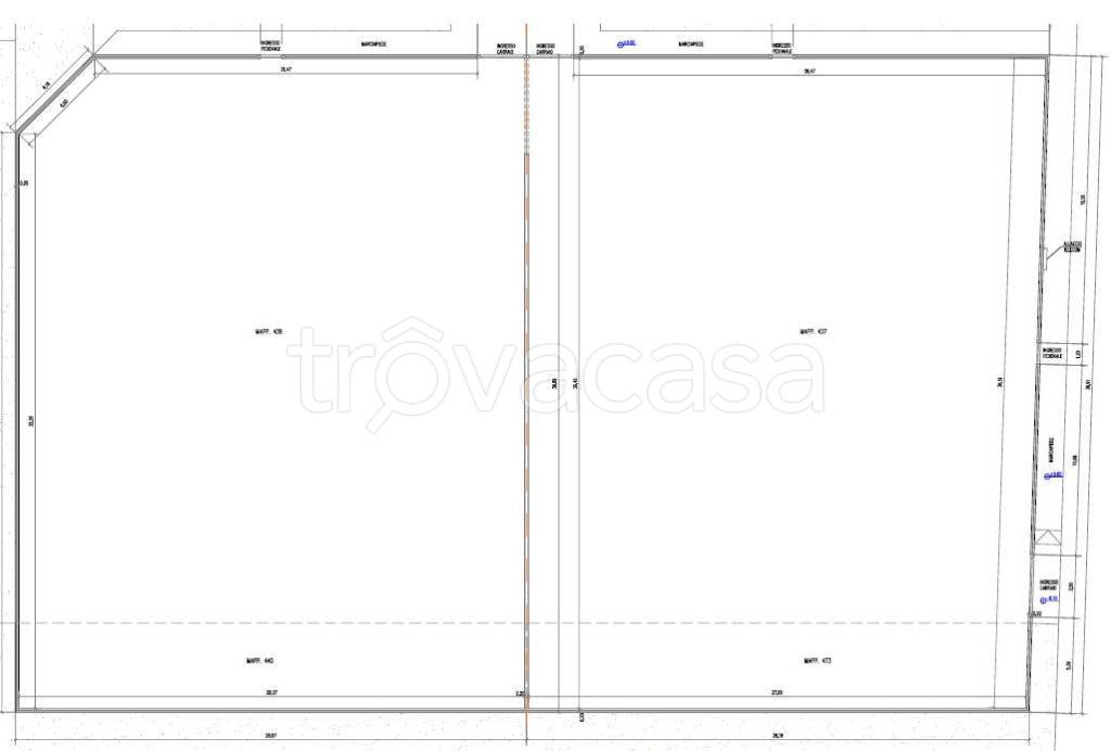 immagine annuncio 5 di 8