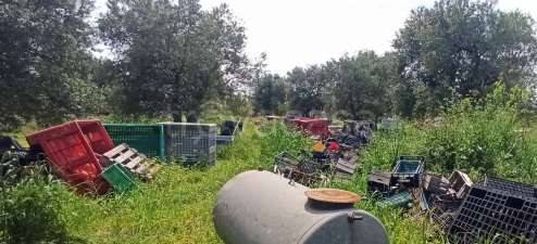 immagine annuncio 6 di 15