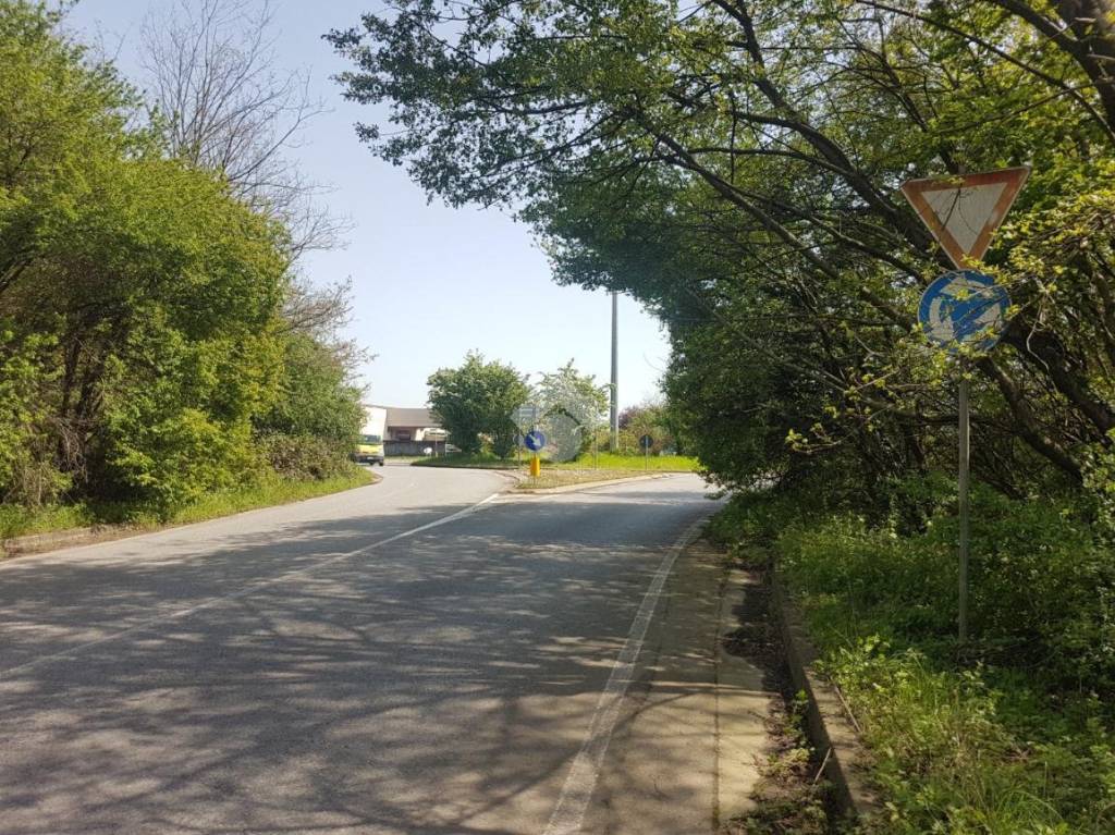 immagine annuncio 8 di 14