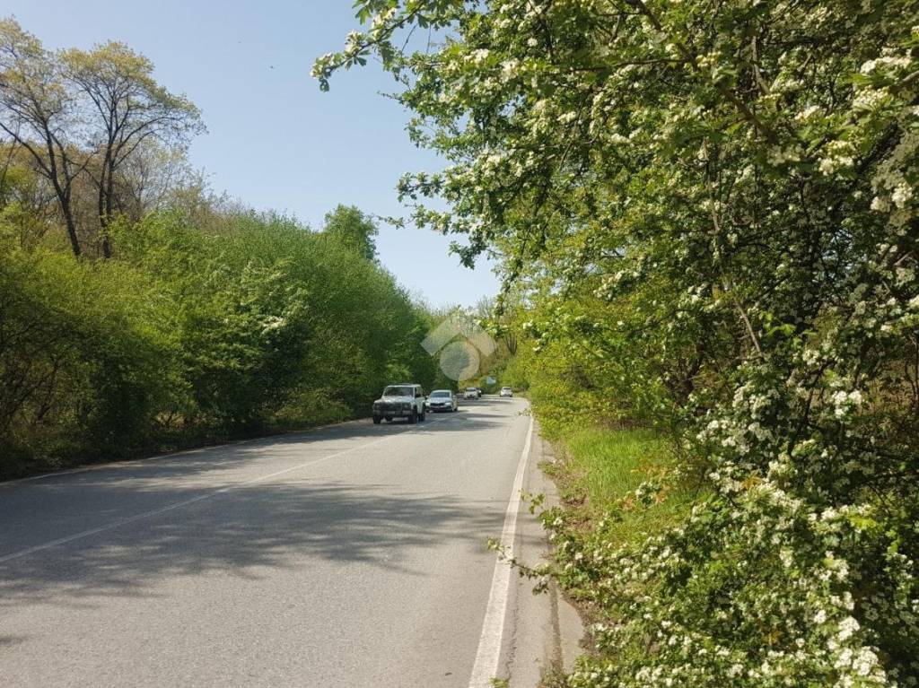 immagine annuncio 9 di 14