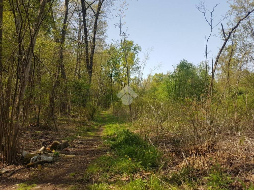 immagine annuncio 10 di 14