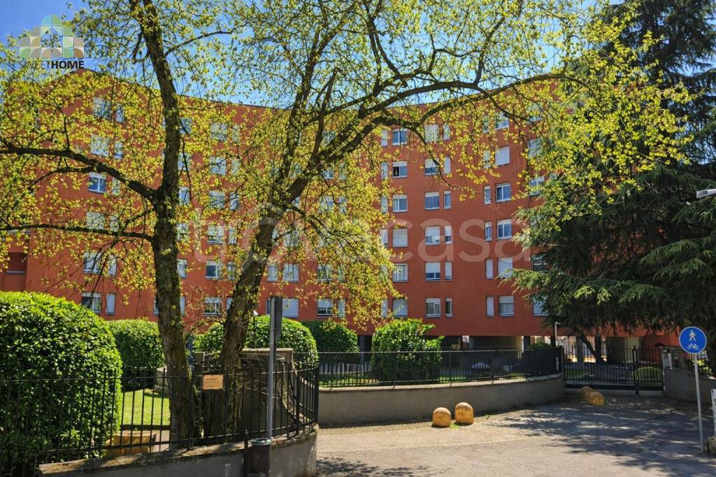 immagine annuncio 2 di 13